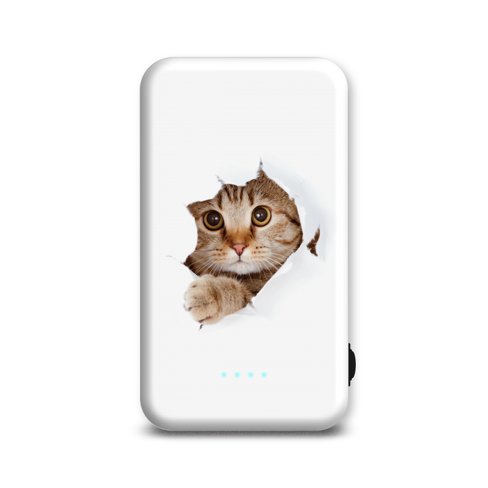 Внешний аккумулятор Case Place AC05-210-1 5000 мА/ч белый, коричневый (AC052109R61276), AC05-210-1
Внешний аккумулятор Case Place AC05-210-1 5000 мА/ч белый, коричневый (AC052109R61276), AC05-210-1