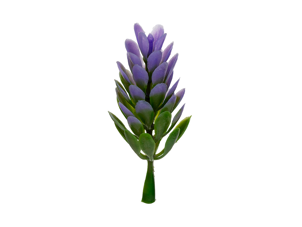 Садовая миниатюра 01 Декоративные элементы Blumentag веточки, пластик 4 шт., GPT-06-01
Садовая миниатюра 01 Декоративные элементы Blumentag веточки, пластик 4 шт., GPT-06-01