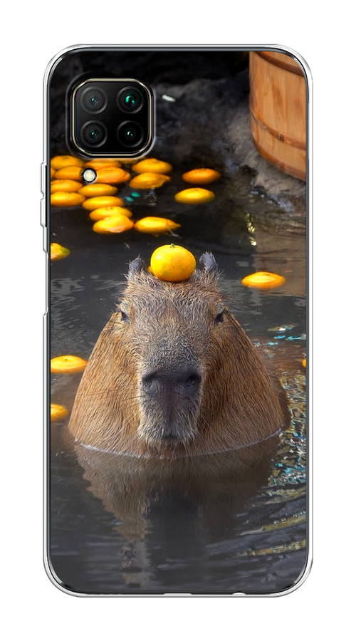 Чехол на Huawei P40 Lite/Nova 6 SE/Nova 7i "Капибара отдыхает", Коричневый;оранжевый;серый, 611850-1
Чехол на Huawei P40 Lite/Nova 6 SE/Nova 7i "Капибара отдыхает", Коричневый;оранжевый;серый, 611850-1