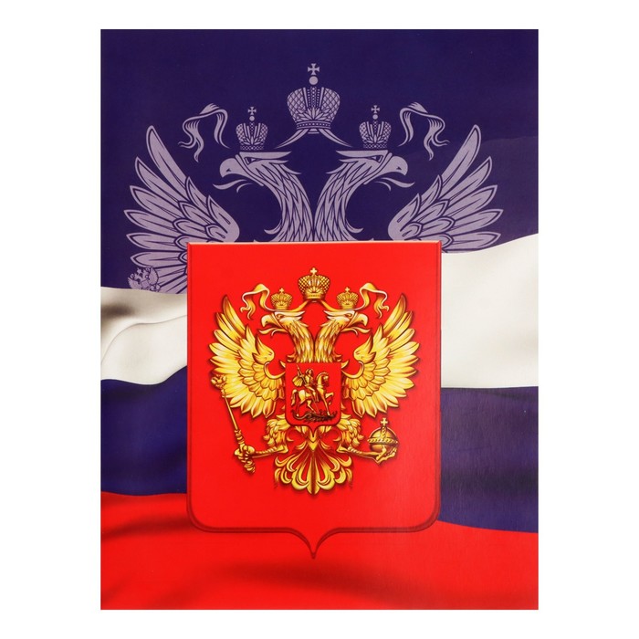 Тетрадь А4, 48 л в клетку Calligrata Россия Триколор, блок №2, белизна 75% (серые листы)
Тетрадь А4, 48 л в клетку Calligrata Россия Триколор, блок №2, белизна 75% (серые листы)
