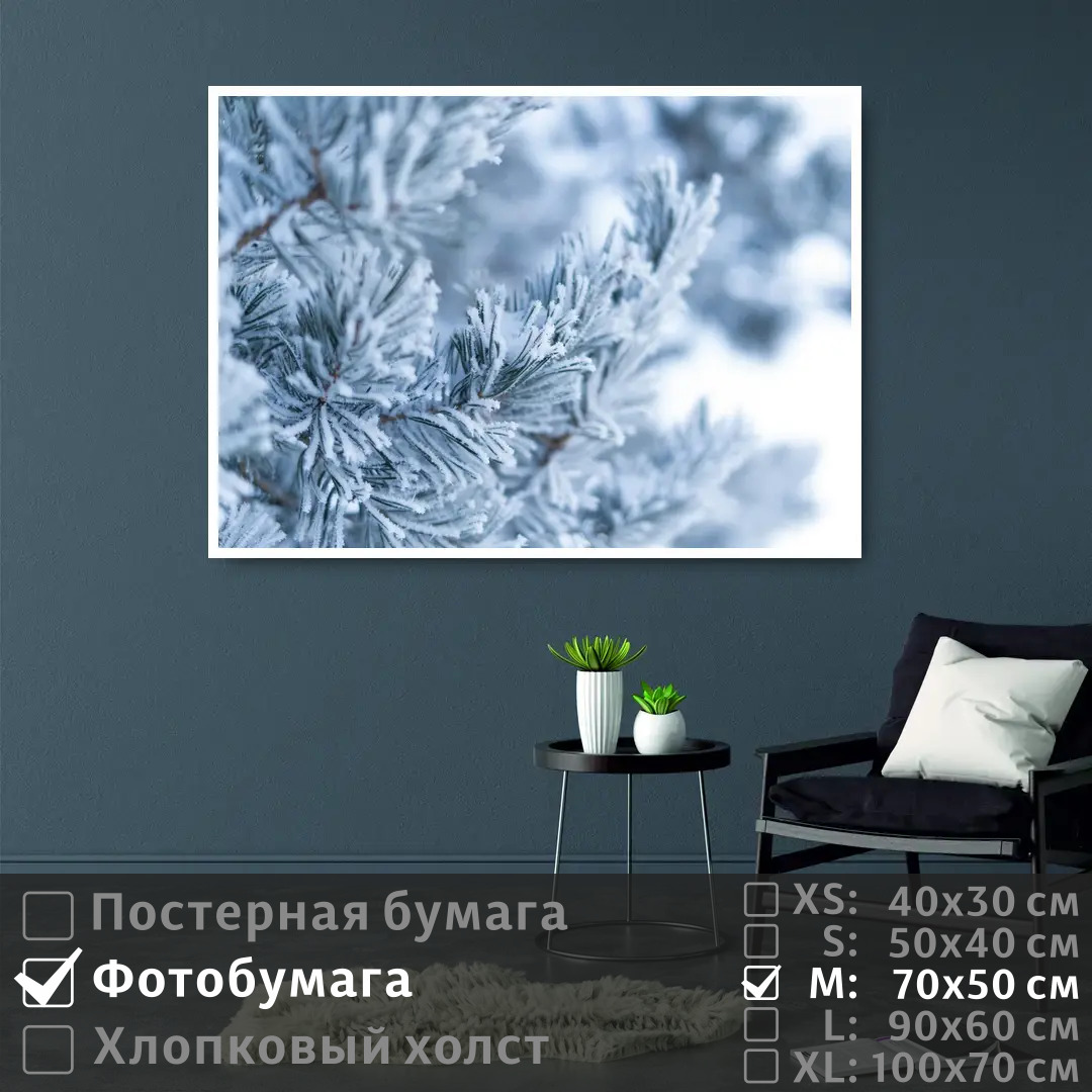 Постер на фотобумаге ПолиЦентр Ветка сосны в зимнем лесу 70х50 см, ВеткаСосныВЗимнемЛесу
Постер на фотобумаге ПолиЦентр Ветка сосны в зимнем лесу 70х50 см, ВеткаСосныВЗимнемЛесу