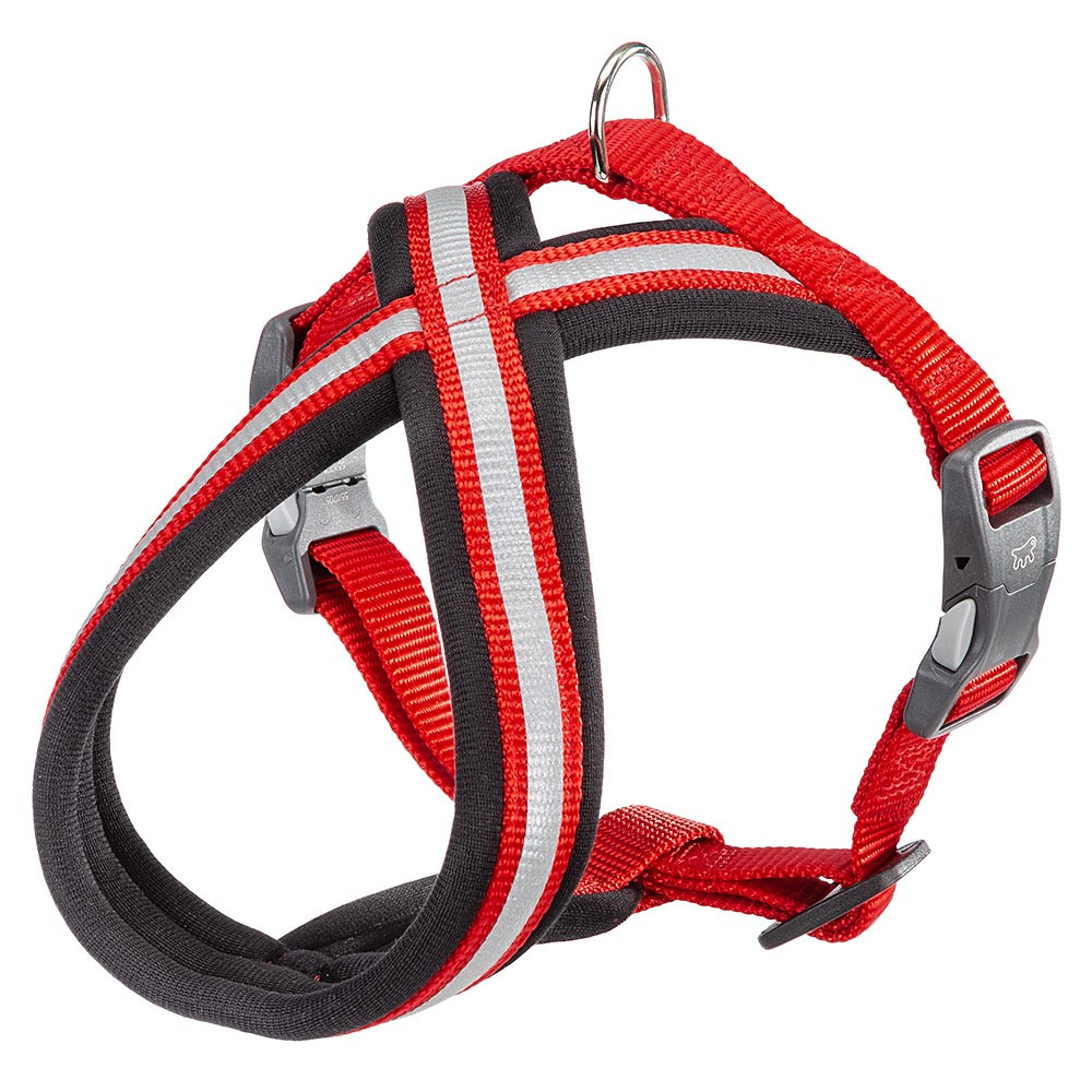 Шлейка для собак Ferplast Daytona Cross со светоотражающей полоской XS, Красный, Daytona Cross
Шлейка для собак Ferplast Daytona Cross со светоотражающей полоской XS, Красный, Daytona Cross