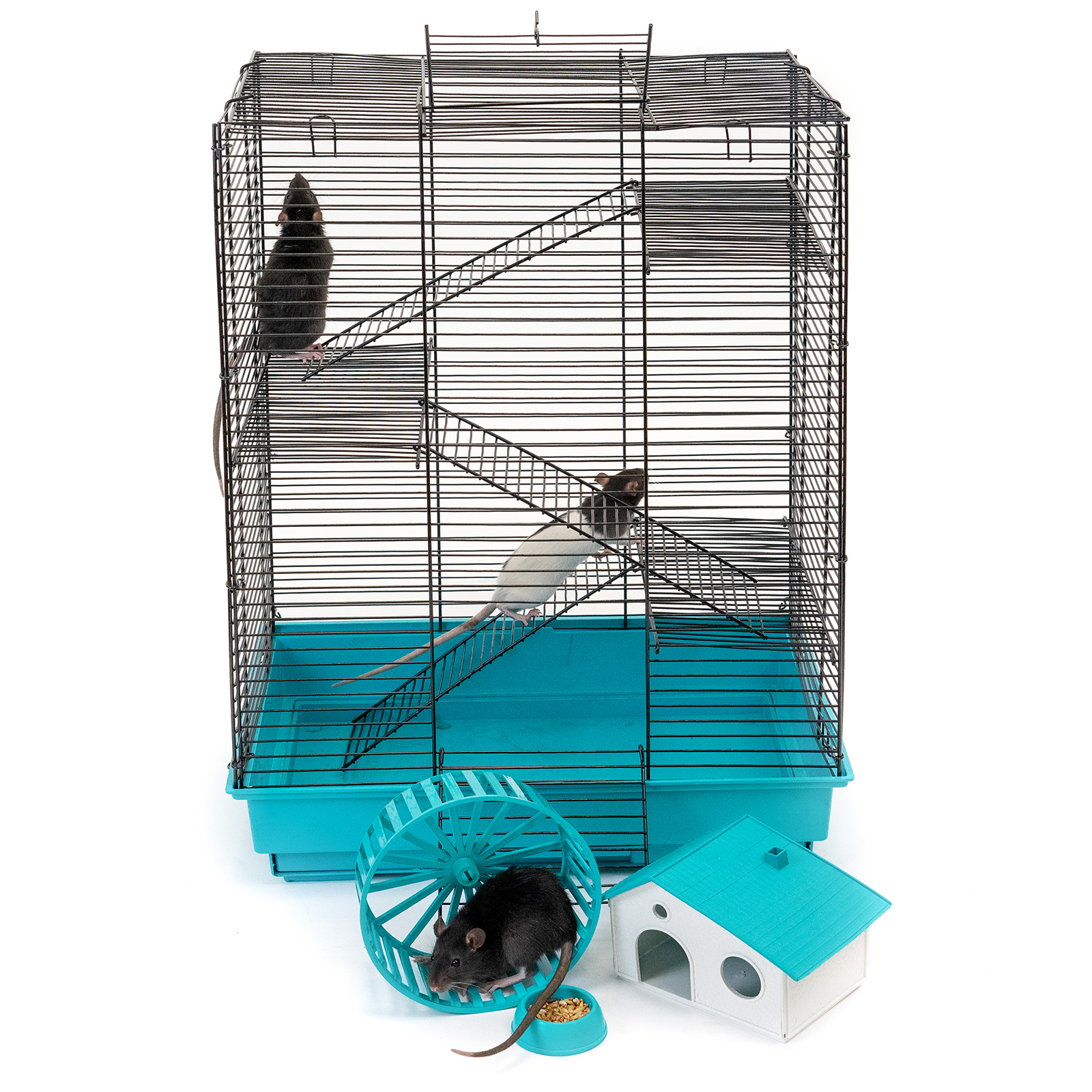 Клетка для грызунов PetTails, шаг прута 10,5мм,42х30х59см, 3 этажа, колесо, бирюзовая, Голубой, 4034
Клетка для грызунов PetTails, шаг прута 10,5мм,42х30х59см, 3 этажа, колесо, бирюзовая, Голубой, 4034