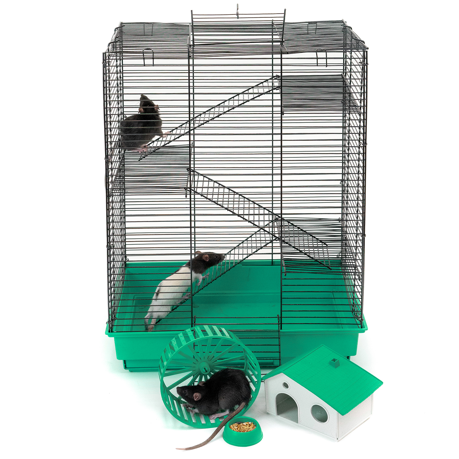 Клетка для грызунов PetTails, шаг прута 10,5мм, 42х30х59см, 3 этажа, колесо, изумрудная, Зеленый, 4034
Клетка для грызунов PetTails, шаг прута 10,5мм, 42х30х59см, 3 этажа, колесо, изумрудная, Зеленый, 4034