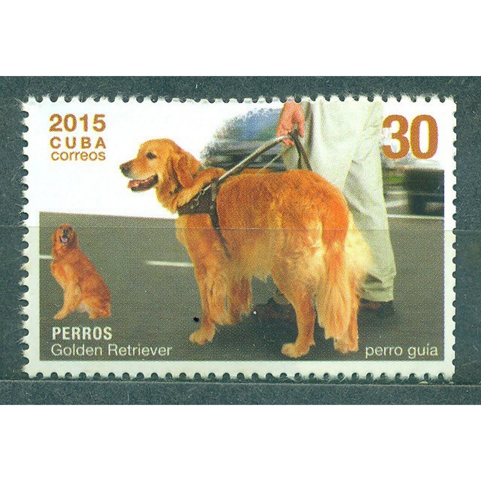 Почтовые марки Куба Золотой ретривер Собаки
Почтовые марки Куба Золотой ретривер Собаки