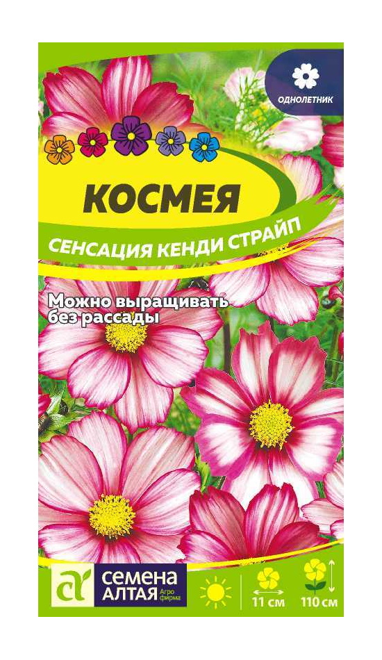 Семена космея Семена Алтая Сенсация Кенди Страйп 63090 1 уп., Семена Космея Сенсация Кенди Страйп Однолетние 0,5 гр.
Семена космея Семена Алтая Сенсация Кенди Страйп 63090 1 уп., Семена Космея Сенсация Кенди Страйп Однолетние 0,5 гр.