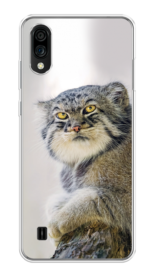 Чехол на ZTE Blade A51 lite/Blade A5 (2020) "Кот манул 1", Серый;белый;желтый, 134950-1
Чехол на ZTE Blade A51 lite/Blade A5 (2020) "Кот манул 1", Серый;белый;желтый, 134950-1