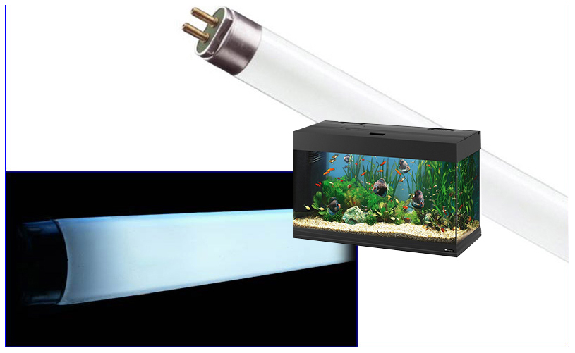 Люминесцентная лампа для аквариума JBL Solar Ultra Ocean Blue, 24 Вт, цоколь G5, 43,8 см, Solar Ultra Ocean Blue
Люминесцентная лампа для аквариума JBL Solar Ultra Ocean Blue, 24 Вт, цоколь G5, 43,8 см, Solar Ultra Ocean Blue