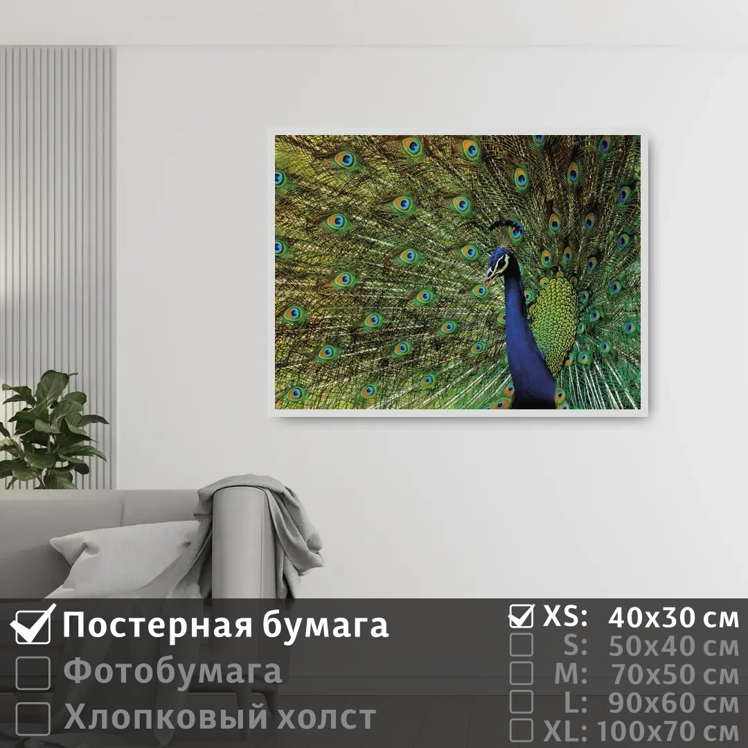 Постер на стену ПолиЦентр Павлин с распущенным хвостом 40х30 см, ПавлинСРаспущеннымХвостом
Постер на стену ПолиЦентр Павлин с распущенным хвостом 40х30 см, ПавлинСРаспущеннымХвостом