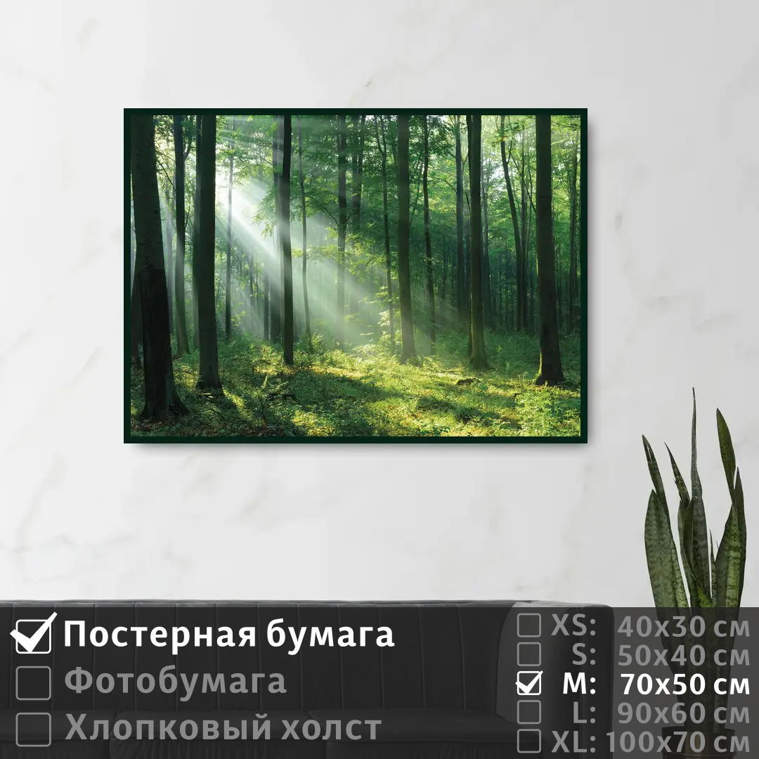 Постер на стену ПолиЦентр Лучи сквозь листву на рассвете 70х50 см, ЛучиСквозьЛиствуНаРассвете
Постер на стену ПолиЦентр Лучи сквозь листву на рассвете 70х50 см, ЛучиСквозьЛиствуНаРассвете