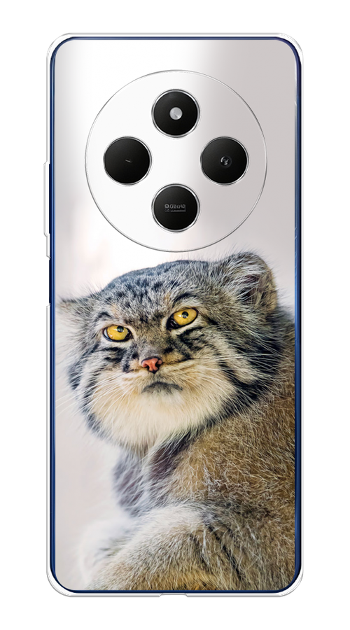 Чехол на Xiaomi Redmi 14C/Poco C75 4G "Кот манул 1", Серый;белый;желтый, 322950-1
Чехол на Xiaomi Redmi 14C/Poco C75 4G "Кот манул 1", Серый;белый;желтый, 322950-1