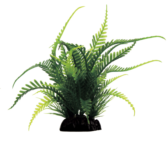 Искусственное растение для аквариума ArtUniq Fern Папоротник 15х8х15 см, пластик, Fern 15
Искусственное растение для аквариума ArtUniq Fern Папоротник 15х8х15 см, пластик, Fern 15