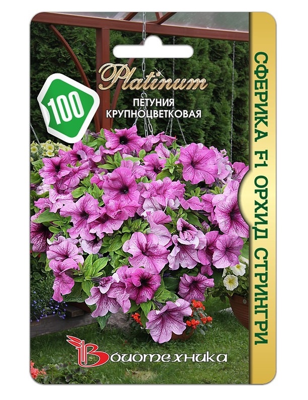 Семена Петуния крупноцветковая Сферика Орхид Стрингри F1, 20 шт, Platinum Биотехника
Семена Петуния крупноцветковая Сферика Орхид Стрингри F1, 20 шт, Platinum Биотехника