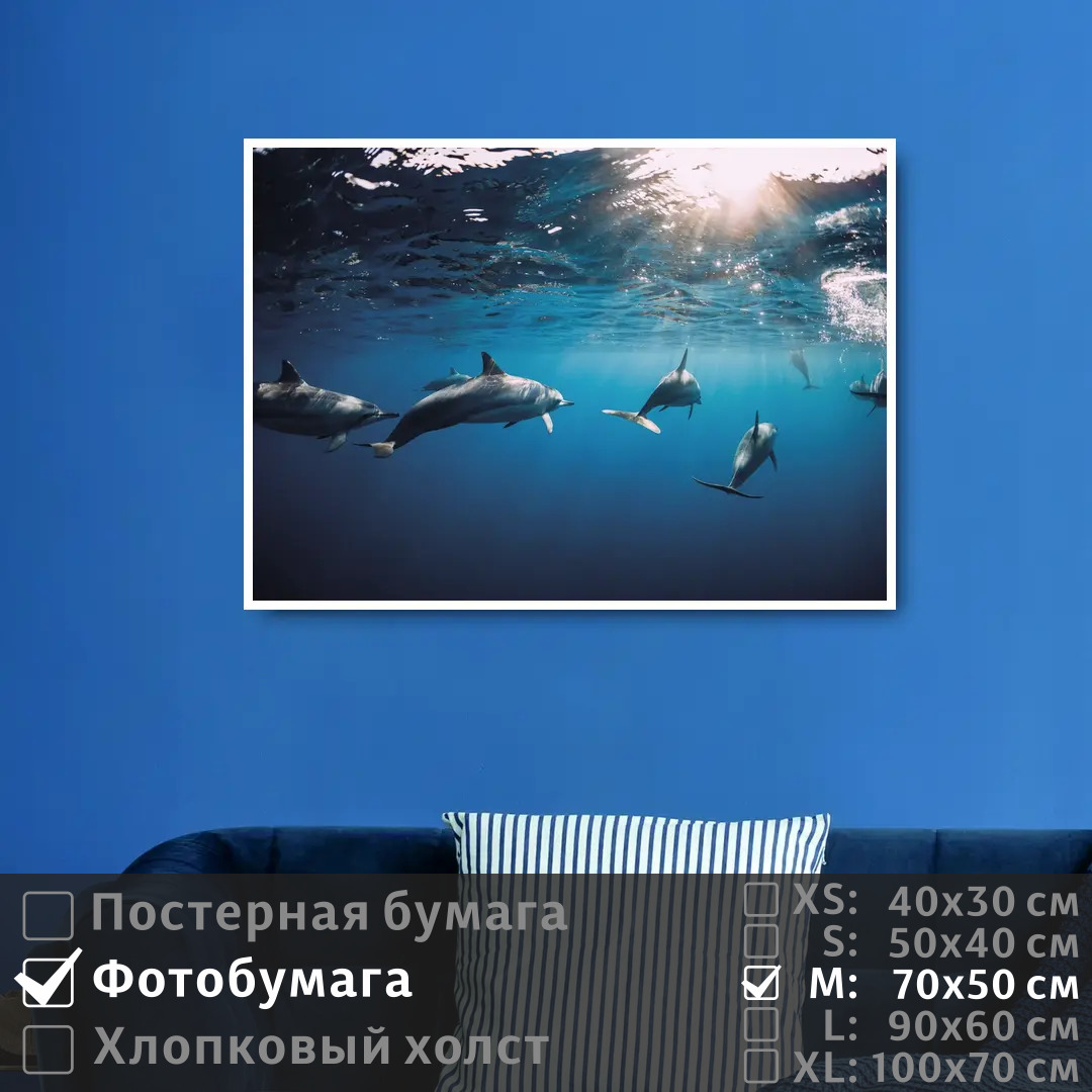Постер на фотобумаге ПолиЦентр Дельфины под водой плывут к солнечным лучам 70х50 см, ДельфиныПодВодойПлывутКСолнечнымЛучам
Постер на фотобумаге ПолиЦентр Дельфины под водой плывут к солнечным лучам 70х50 см, ДельфиныПодВодойПлывутКСолнечнымЛучам