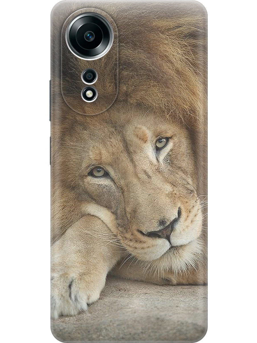 Силиконовый чехол на Oppo A58 4G с принтом "Спокойный лев", Прозрачный;желтый;оранжевый, 782630012
Силиконовый чехол на Oppo A58 4G с принтом "Спокойный лев", Прозрачный;желтый;оранжевый, 782630012