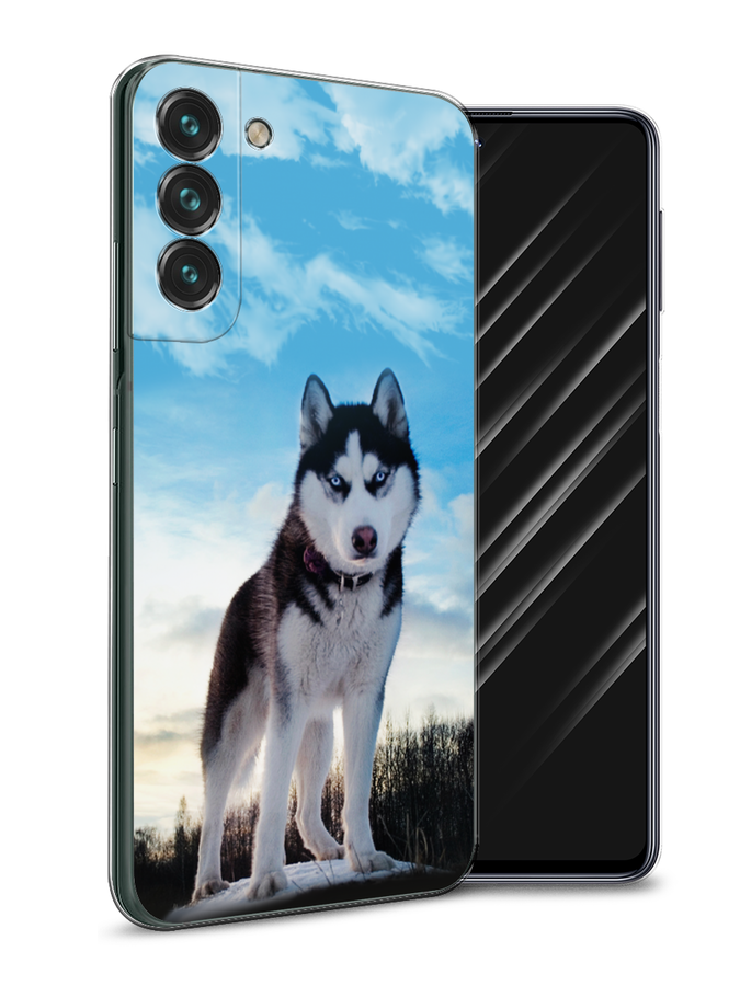 Чехол Awog на Samsung Galaxy S22 + / Самсунг S22 + "Хаски 3", Белый;черный;голубой, 2103950-2
Чехол Awog на Samsung Galaxy S22 + / Самсунг S22 + "Хаски 3", Белый;черный;голубой, 2103950-2