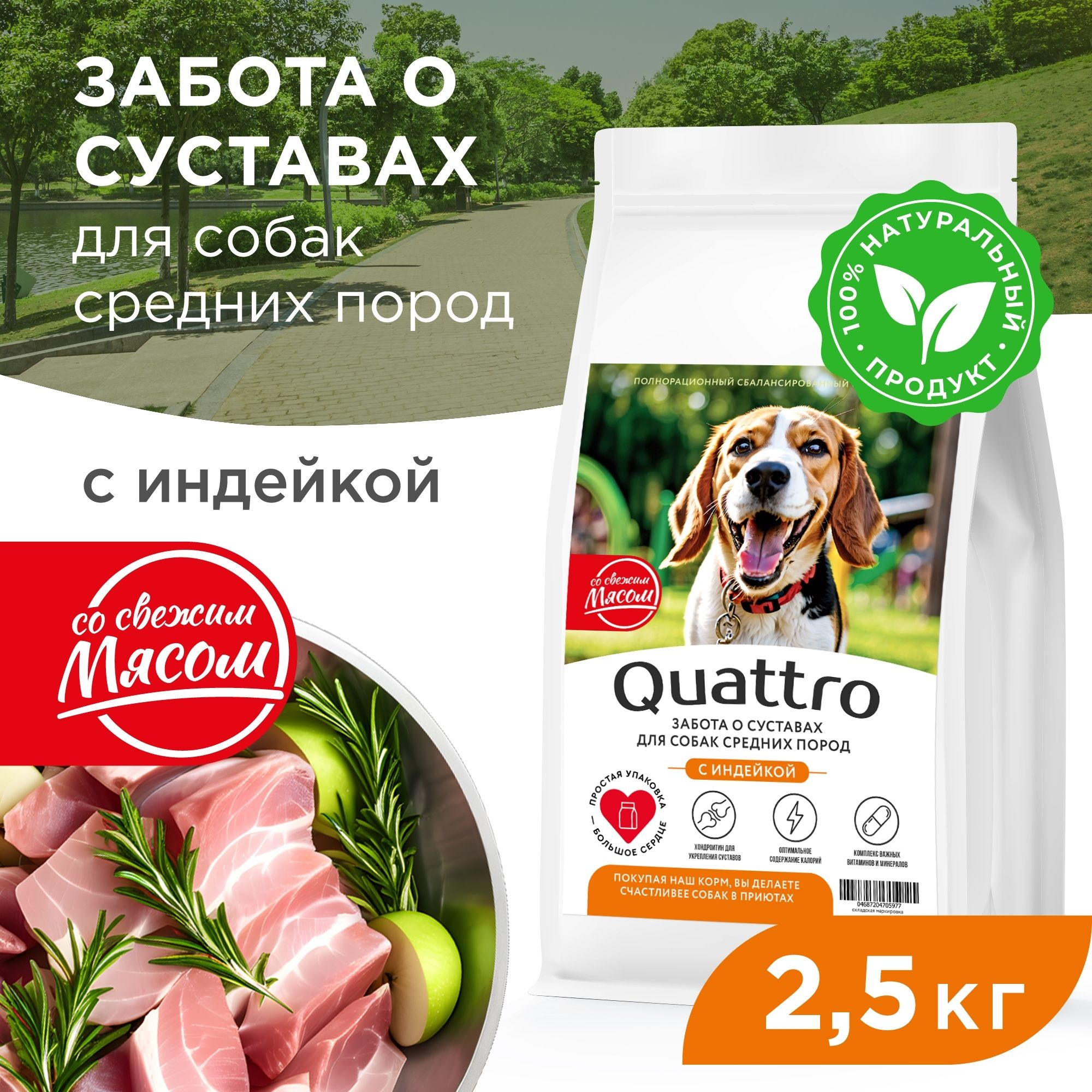 Сухой корм для собак QUATTRO, Средние породы премиум, забота о суставах, индейка, 2,5 кг
Сухой корм для собак QUATTRO, Средние породы премиум, забота о суставах, индейка, 2,5 кг