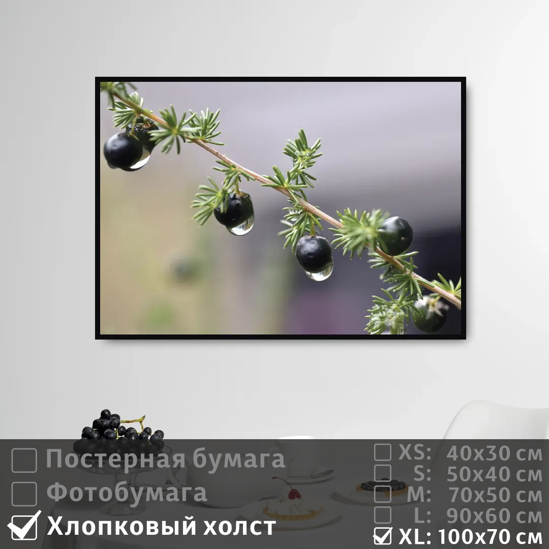 Постер на холсте ПолиЦентр Ветка с ягодой после дождя 100х70 см, ВеткаСЯгодойПослеДождя1
Постер на холсте ПолиЦентр Ветка с ягодой после дождя 100х70 см, ВеткаСЯгодойПослеДождя1