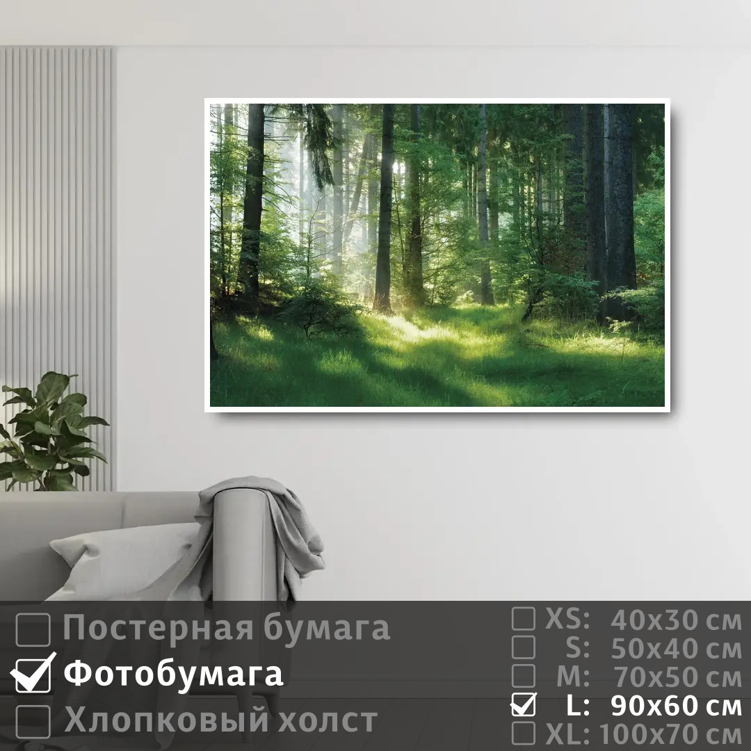 Постер на фотобумаге ПолиЦентр Солнечные лучи на рассвете в лесу 90х60 см, СолнечныеЛучиНаРассветеВЛесу
Постер на фотобумаге ПолиЦентр Солнечные лучи на рассвете в лесу 90х60 см, СолнечныеЛучиНаРассветеВЛесу