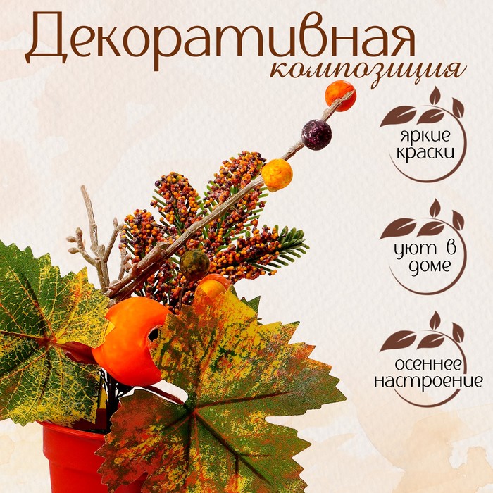 Декоративная композиция Осенний урожай 9655840, 10х20х24 см, Зеленый;оранжевый
Декоративная композиция Осенний урожай 9655840, 10х20х24 см, Зеленый;оранжевый