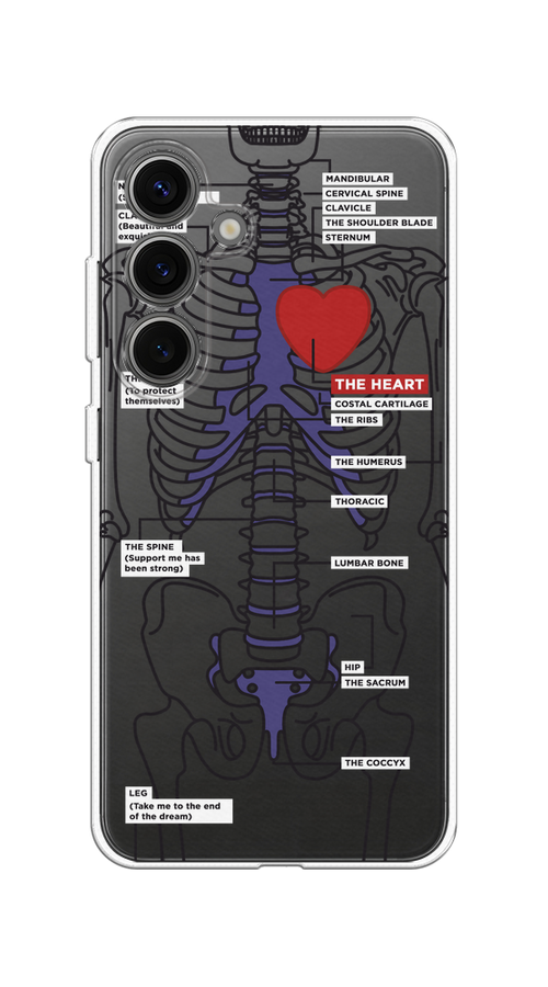 Чехол на Samsung Galaxy S25 "Скелет человека", Прозрачный;синий;красный, 2110350-1
Чехол на Samsung Galaxy S25 "Скелет человека", Прозрачный;синий;красный, 2110350-1