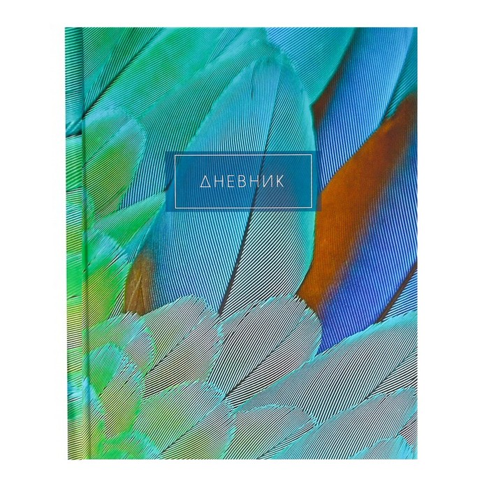 Дневник для 5-11 классов Calligrata Перья 2 твердая обложка 48 листов, Разноцветный