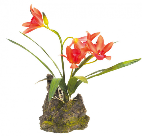 Искусственное растение для террариума Lucky Reptile Orchid red, пластик, 40см, Зеленый;красный, Orchid red
Искусственное растение для террариума Lucky Reptile Orchid red, пластик, 40см, Зеленый;красный, Orchid red