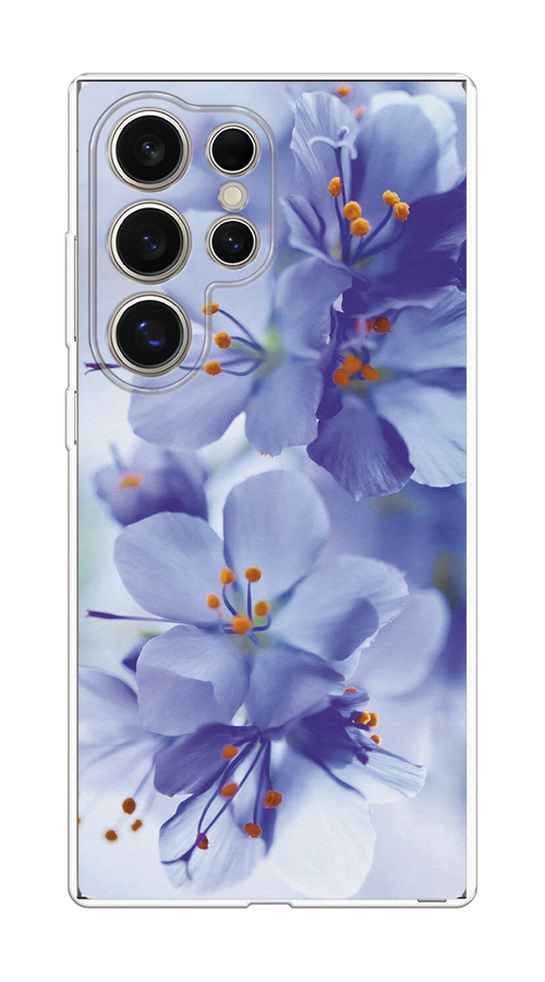 Чехол на Samsung Galaxy S25 Ultra "Фиолетовые цветки", Фиолетовый;синий, 2110550-1
Чехол на Samsung Galaxy S25 Ultra "Фиолетовые цветки", Фиолетовый;синий, 2110550-1