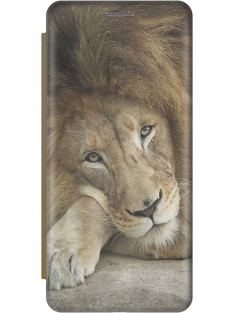 Чехол на Tecno Spark 10 Pro "Спокойный лев" золотистый, Желтый;оранжевый, 159573
Чехол на Tecno Spark 10 Pro "Спокойный лев" золотистый, Желтый;оранжевый, 159573