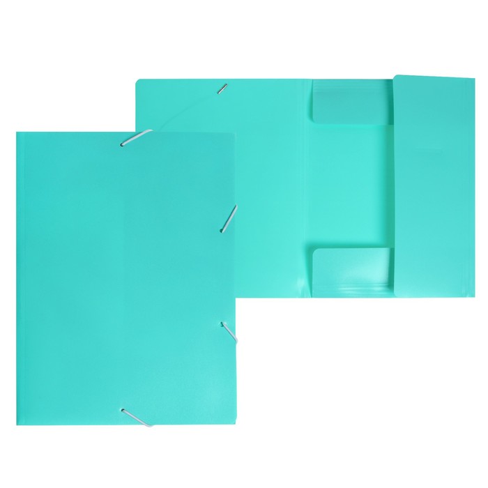 Папка Calligrata Pastel на резинке А4 500 мкм корешок 20 мм до 150 л песок мятный, Зеленый
Папка Calligrata Pastel на резинке А4 500 мкм корешок 20 мм до 150 л песок мятный, Зеленый