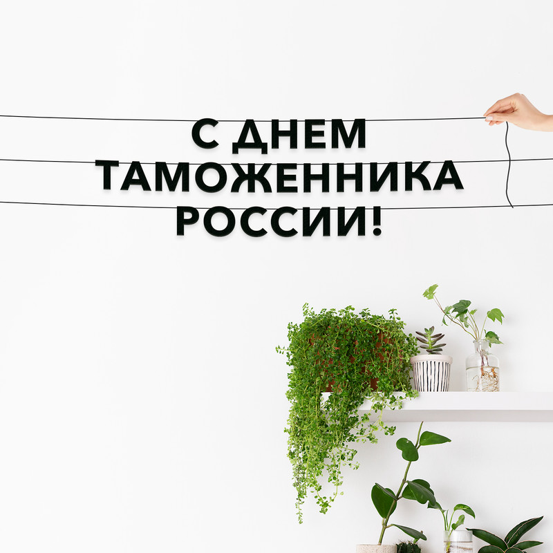 Гирлянда-растяжка С днем таможенника России VN951 черная, Черный, С днем таможенника России
Гирлянда-растяжка С днем таможенника России VN951 черная, Черный, С днем таможенника России