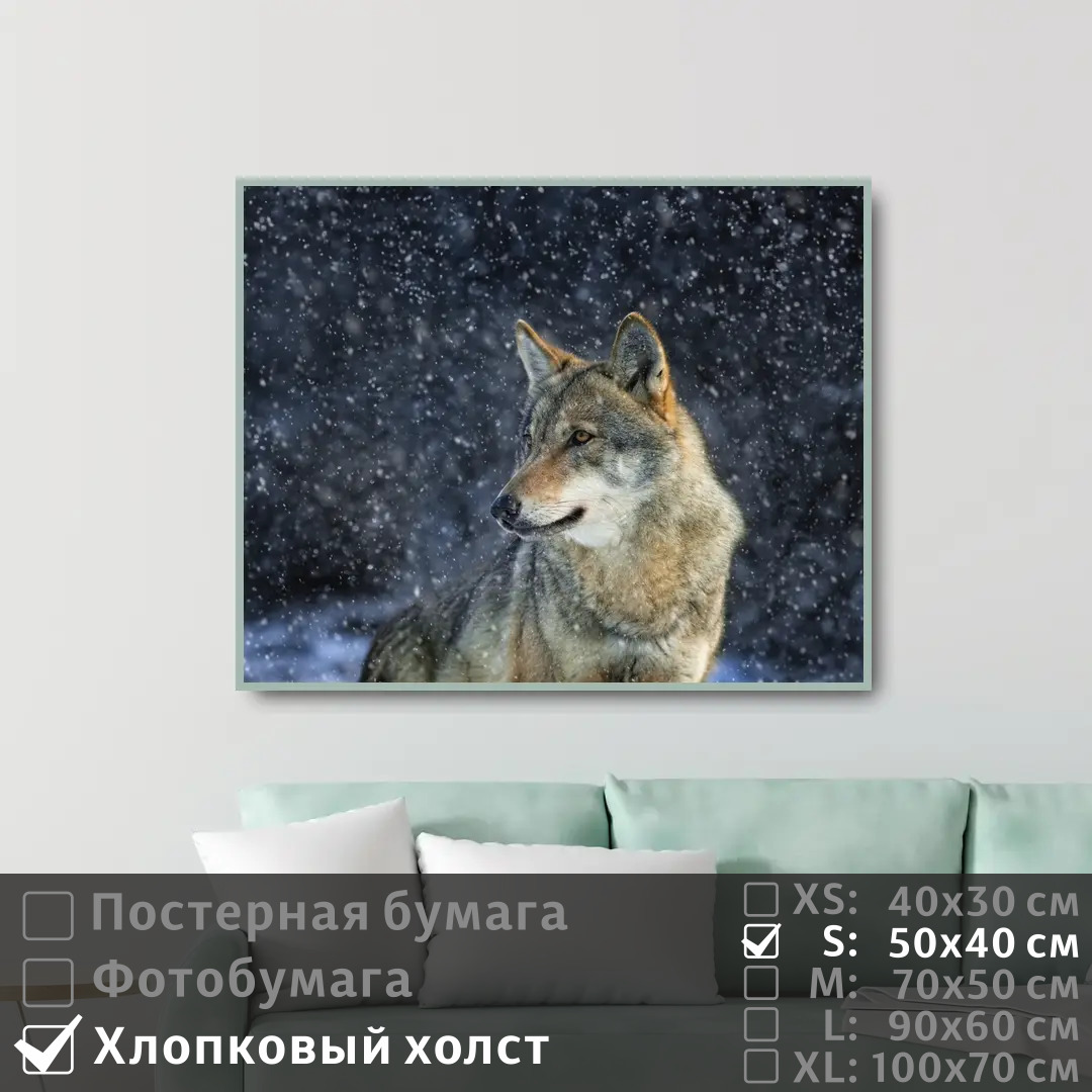Постер на холсте ПолиЦентр Одинокий волк в зимнем лесу 50х40 см, ОдинокийВолкВЗимнемЛесу
Постер на холсте ПолиЦентр Одинокий волк в зимнем лесу 50х40 см, ОдинокийВолкВЗимнемЛесу
