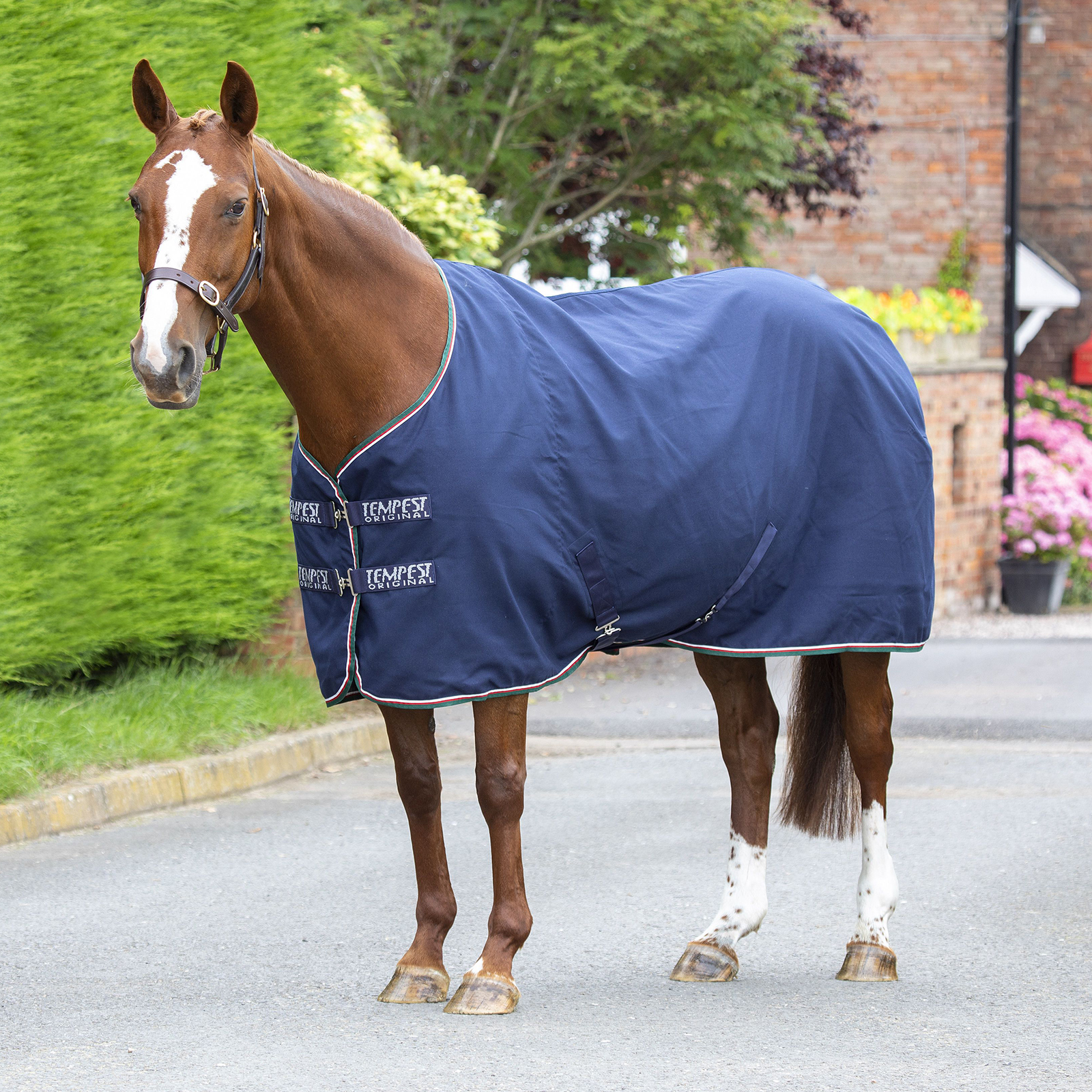 Попона денниковая для лошади SHIRES TEMPEST Original Stable, 135, синий, Original Stable
Попона денниковая для лошади SHIRES TEMPEST Original Stable, 135, синий, Original Stable