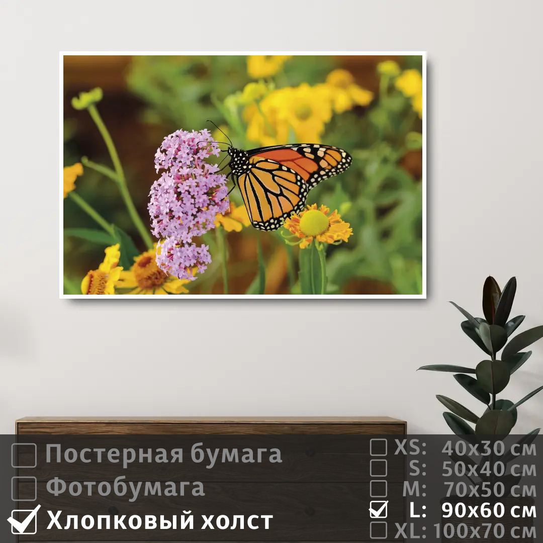Постер на холсте ПолиЦентр Бабочка на полевых сиреневых цветах 90х60 см, БабочкаНаПолевыхСиреневыхЦветах
Постер на холсте ПолиЦентр Бабочка на полевых сиреневых цветах 90х60 см, БабочкаНаПолевыхСиреневыхЦветах