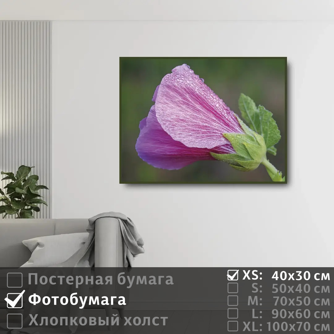 Постер на фотобумаге ПолиЦентр Розовый цветок мальвы с каплями 40х30 см, РозовыйЦветокМальвыСКаплями
Постер на фотобумаге ПолиЦентр Розовый цветок мальвы с каплями 40х30 см, РозовыйЦветокМальвыСКаплями