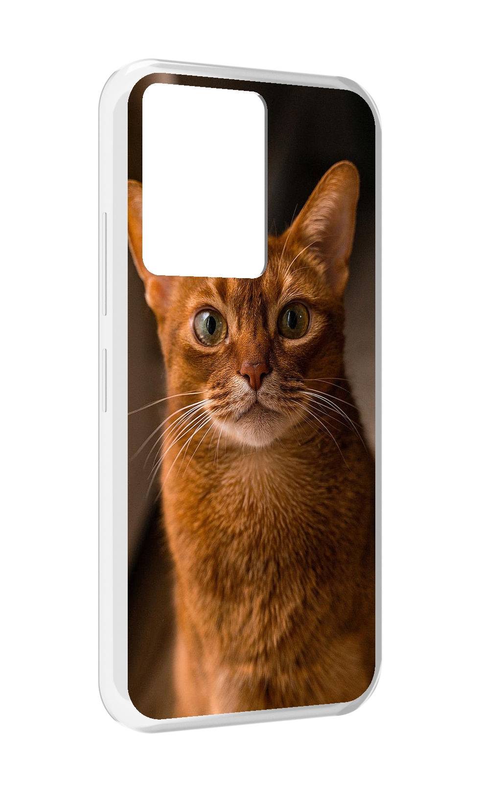 Чехол MyPads порода кошки абисинская для Infinix Note 12 5G X671 / Note 12 Pro 5G, Прозрачный, Tocco
Чехол MyPads порода кошки абисинская для Infinix Note 12 5G X671 / Note 12 Pro 5G, Прозрачный, Tocco