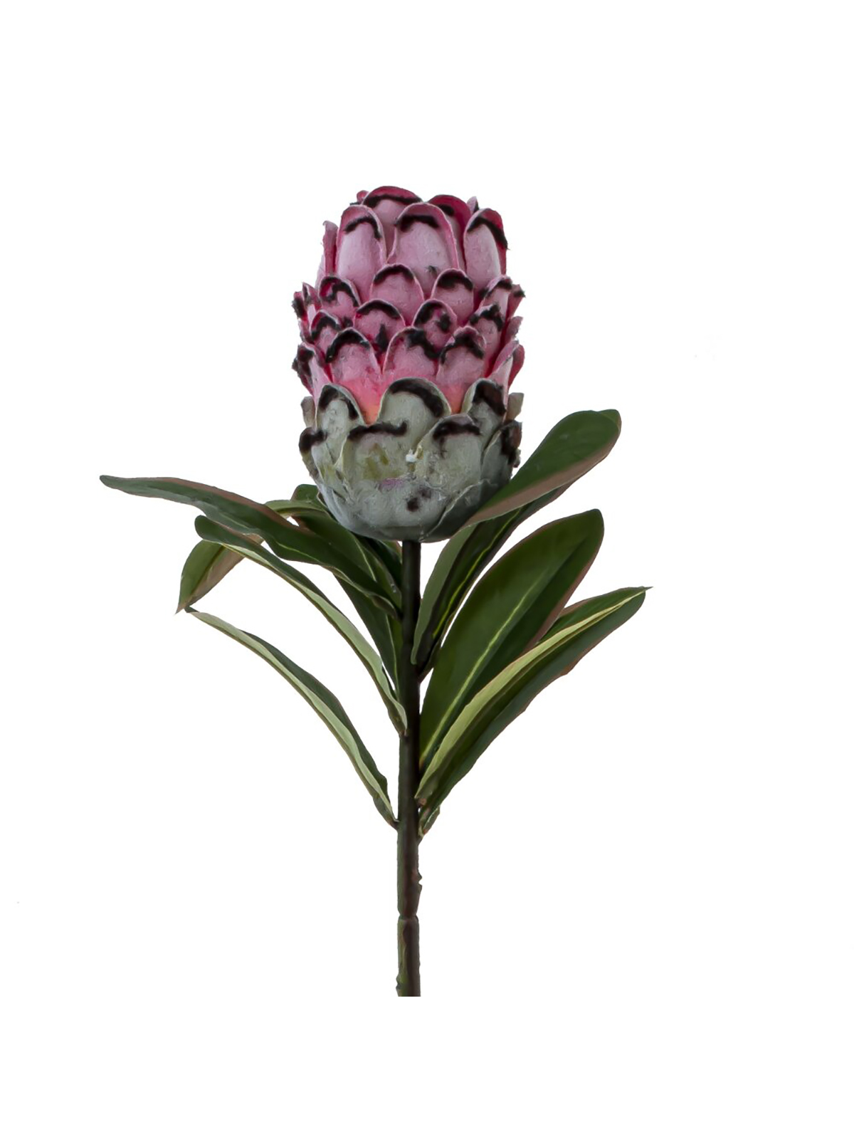 Искусственный цветок Артишок 15 см ALAT Home 795381, Розовый
Искусственный цветок Артишок 15 см ALAT Home 795381, Розовый