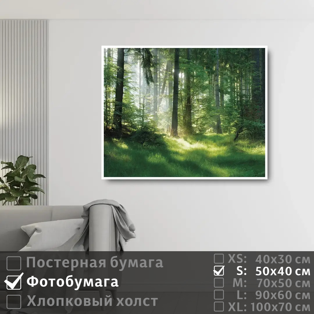 Постер на фотобумаге ПолиЦентр Солнечные лучи на рассвете в лесу 50х40 см, СолнечныеЛучиНаРассветеВЛесу
Постер на фотобумаге ПолиЦентр Солнечные лучи на рассвете в лесу 50х40 см, СолнечныеЛучиНаРассветеВЛесу