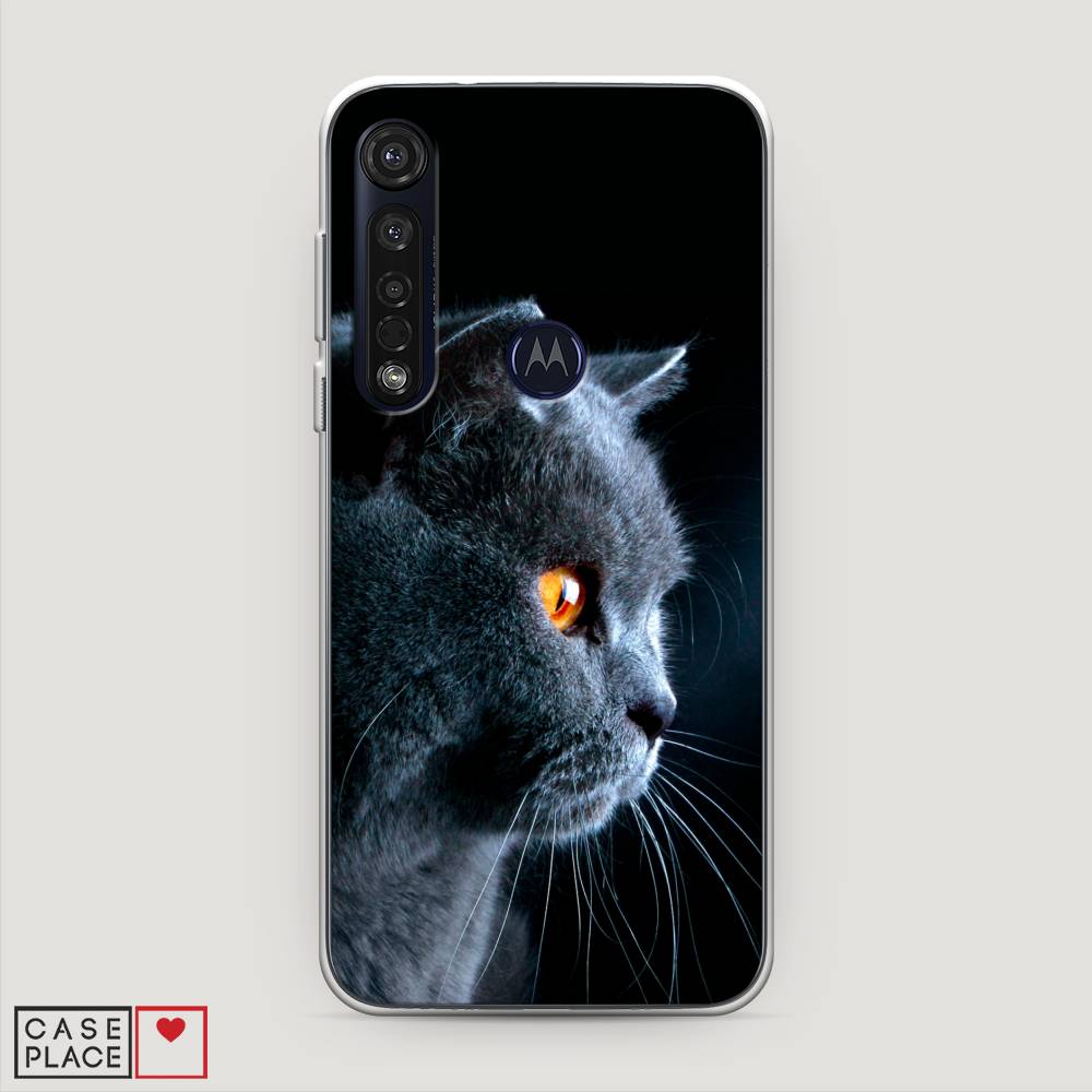 Чехол Awog на Motorola Moto G8 Plus / Моторола Мото G8 Plus "Благородный кот британец", Разноцветный, 241450-2
Чехол Awog на Motorola Moto G8 Plus / Моторола Мото G8 Plus "Благородный кот британец", Разноцветный, 241450-2
