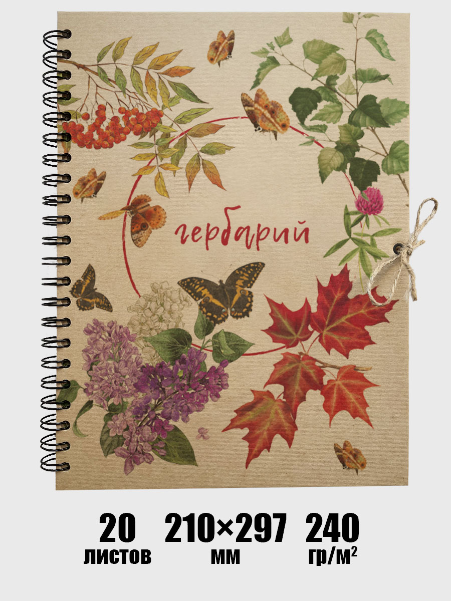 Альбом для гербария А4 Хоровод растений с наклейками, 12 листов, в подарочной коробке, Хоровод растений
Альбом для гербария А4 Хоровод растений с наклейками, 12 листов, в подарочной коробке, Хоровод растений