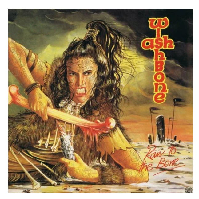 Wishbone Ash Wishbone Ash – Raw To The Bone Picture Disc LP, Wishbone Ash – Raw To The Bone Picture Disc
Wishbone Ash Wishbone Ash – Raw To The Bone Picture Disc LP, Wishbone Ash – Raw To The Bone Picture Disc