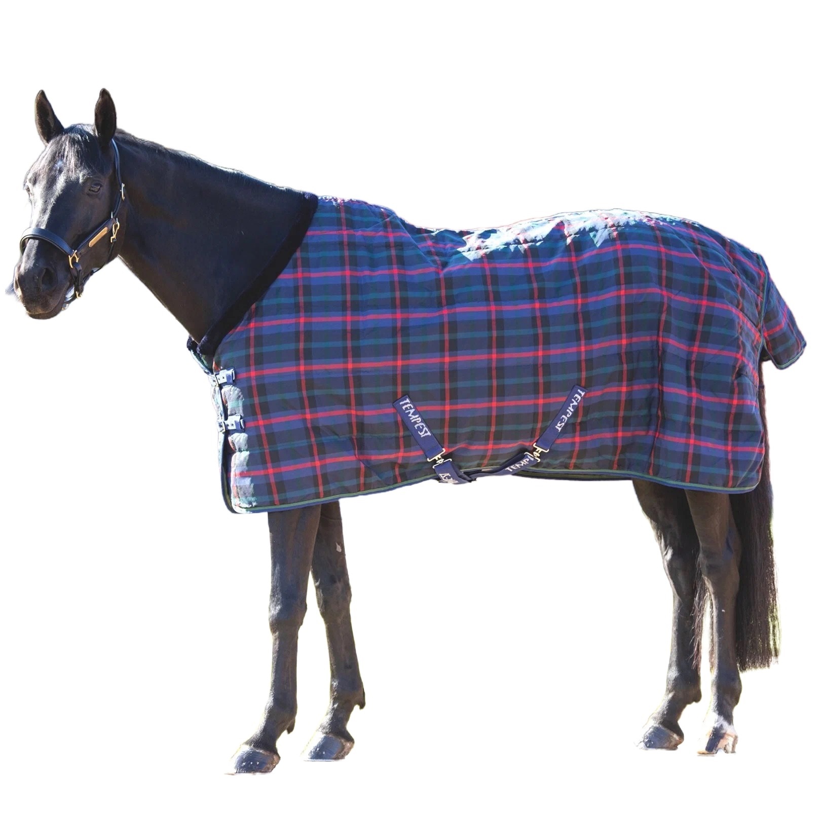 SHIRES SHIRES TEMPEST Попона денниковая для лошади Plus, 1200D, 100g, 145, зелёная клетка, Зеленый;красный;черный, Tempest
SHIRES SHIRES TEMPEST Попона денниковая для лошади Plus, 1200D, 100g, 145, зелёная клетка, Зеленый;красный;черный, Tempest