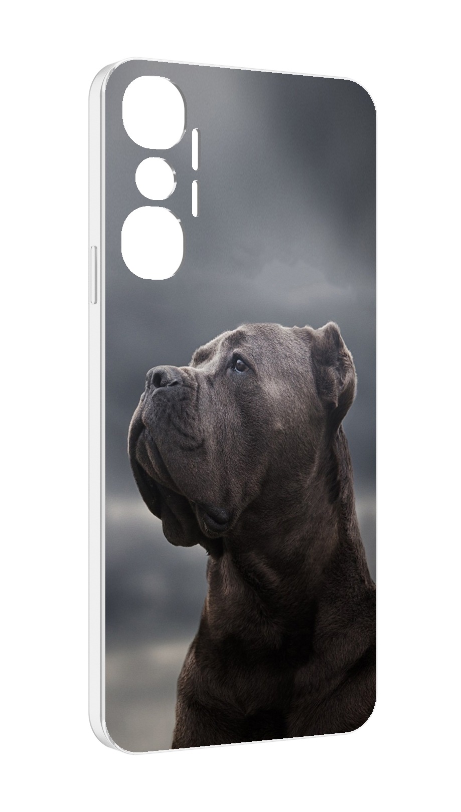 Чехол MyPads кане корсо для Infinix Hot 20 4G, Прозрачный, Tocco
Чехол MyPads кане корсо для Infinix Hot 20 4G, Прозрачный, Tocco