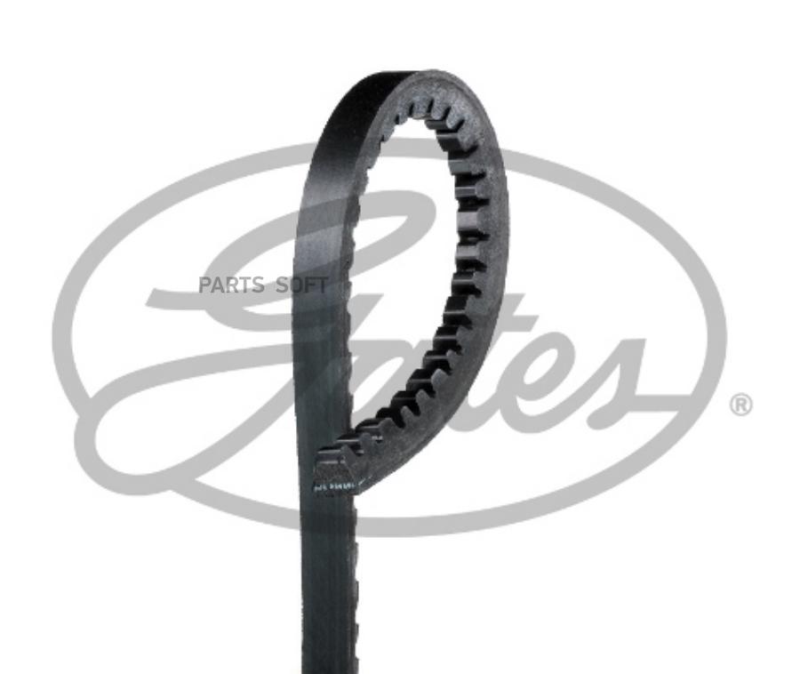 GATES Ремень клиновый 13x1150 Ford Maverick 2.4, 2.7D 93-98, Scorpio 2.5D 88-93/ Nissan Pi
GATES Ремень клиновый 13x1150 Ford Maverick 2.4, 2.7D 93-98, Scorpio 2.5D 88-93/ Nissan Pi