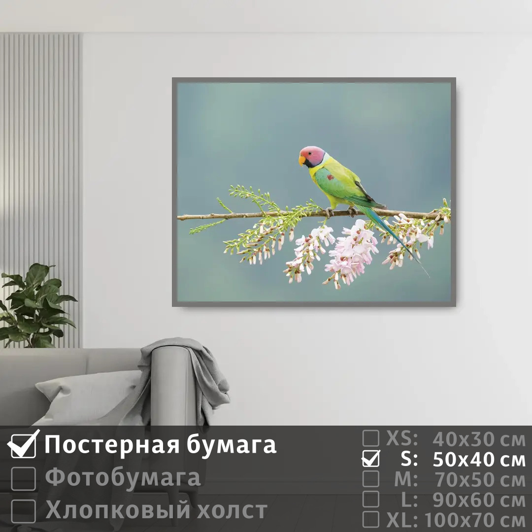 Постер на стену ПолиЦентр Попугай сидит на цветущей ветке 50х40 см, ПопугайСидитНаЦветущейВетке
Постер на стену ПолиЦентр Попугай сидит на цветущей ветке 50х40 см, ПопугайСидитНаЦветущейВетке