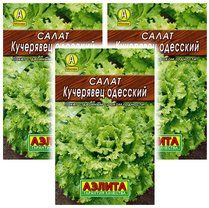 Комплект семян Салат Кучерявец Одесский полукочанный Аэлита 93528 05 гр., 3 шт., Салат
Комплект семян Салат Кучерявец Одесский полукочанный Аэлита 93528 05 гр., 3 шт., Салат