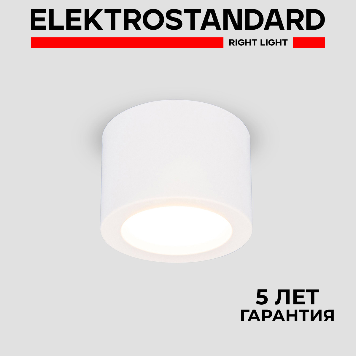 Накладной потолочный светодиодный светильник Elektrostandard DLR026 6W 4200K белый матовый, DLR026 190923
Накладной потолочный светодиодный светильник Elektrostandard DLR026 6W 4200K белый матовый, DLR026 190923