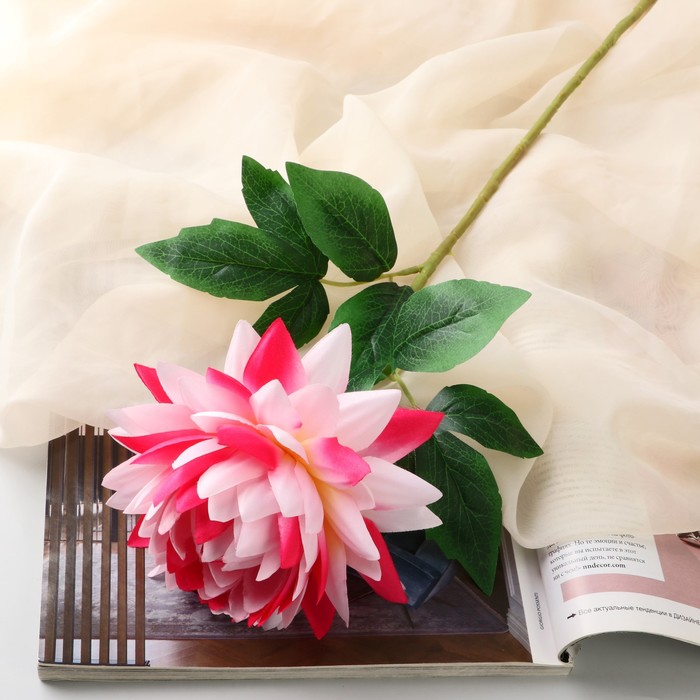 Poetry in flowers Цветы искусственные Бегония премиум, 14х60 см, розово-малиновый, Розовый
Poetry in flowers Цветы искусственные Бегония премиум, 14х60 см, розово-малиновый, Розовый