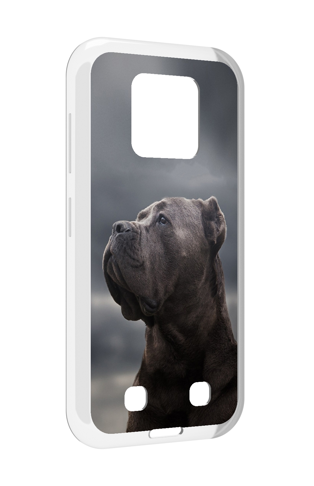 Чехол MyPads кане корсо для Oukitel WP18, Прозрачный, Tocco
Чехол MyPads кане корсо для Oukitel WP18, Прозрачный, Tocco