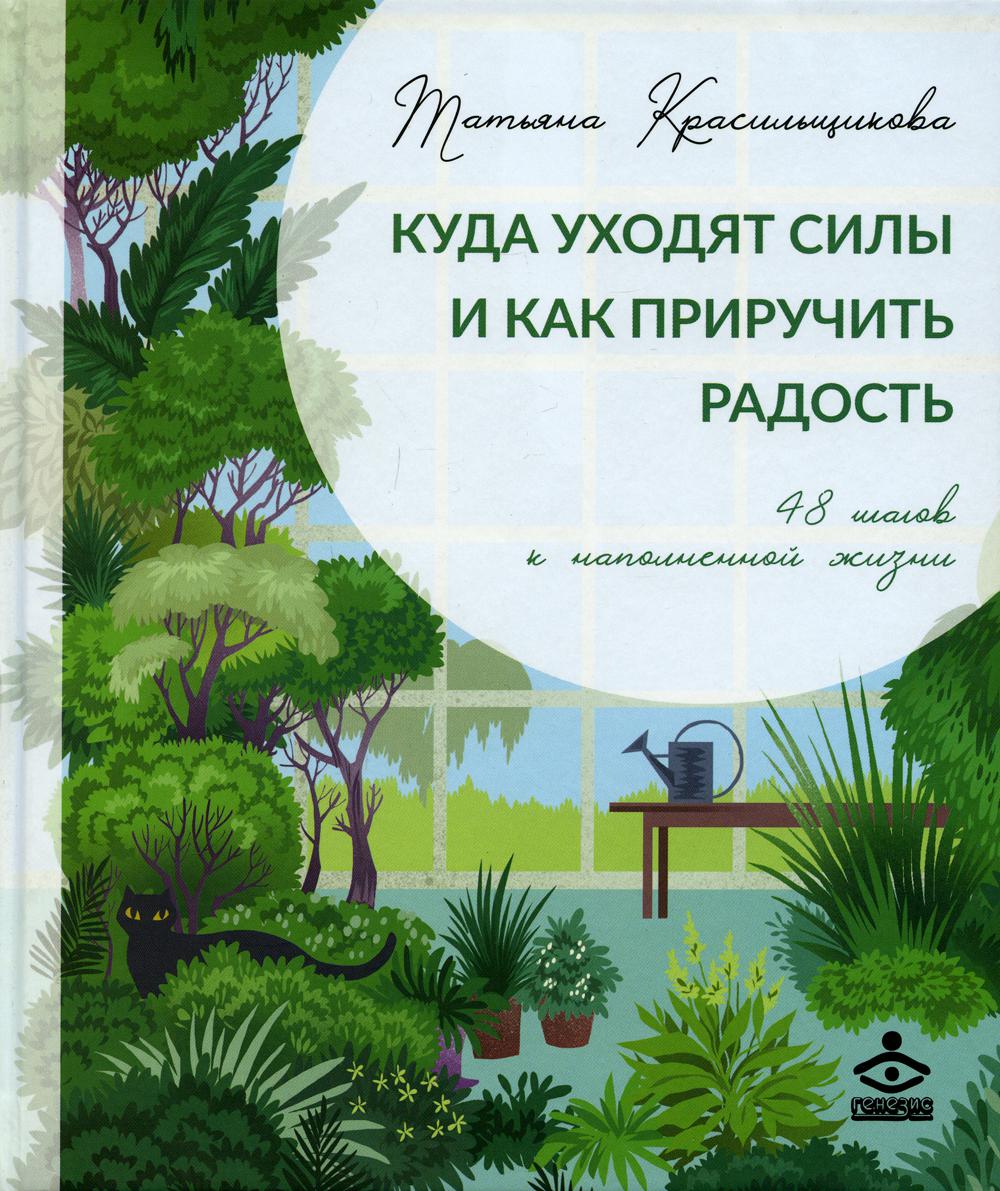 фото Книга куда уходят силы и как приручить радость генезис